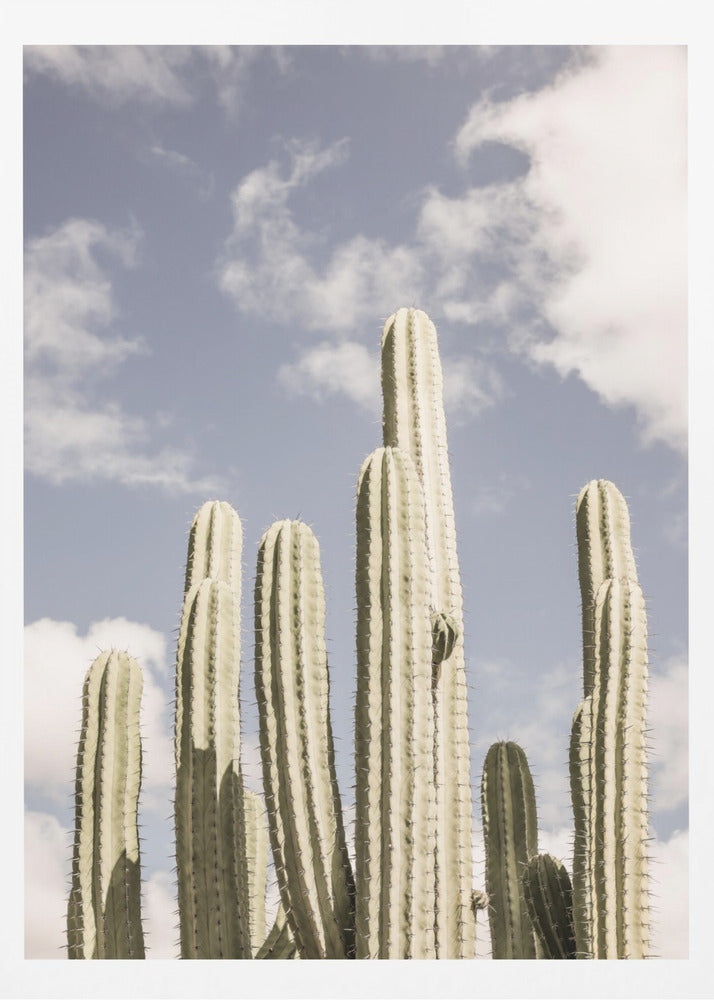 Desert Cathedral No2 | Poster