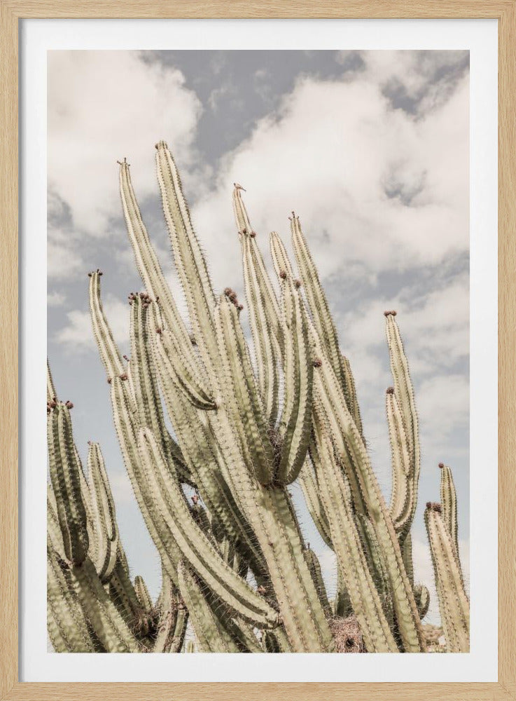 Desert Cathedral | Poster