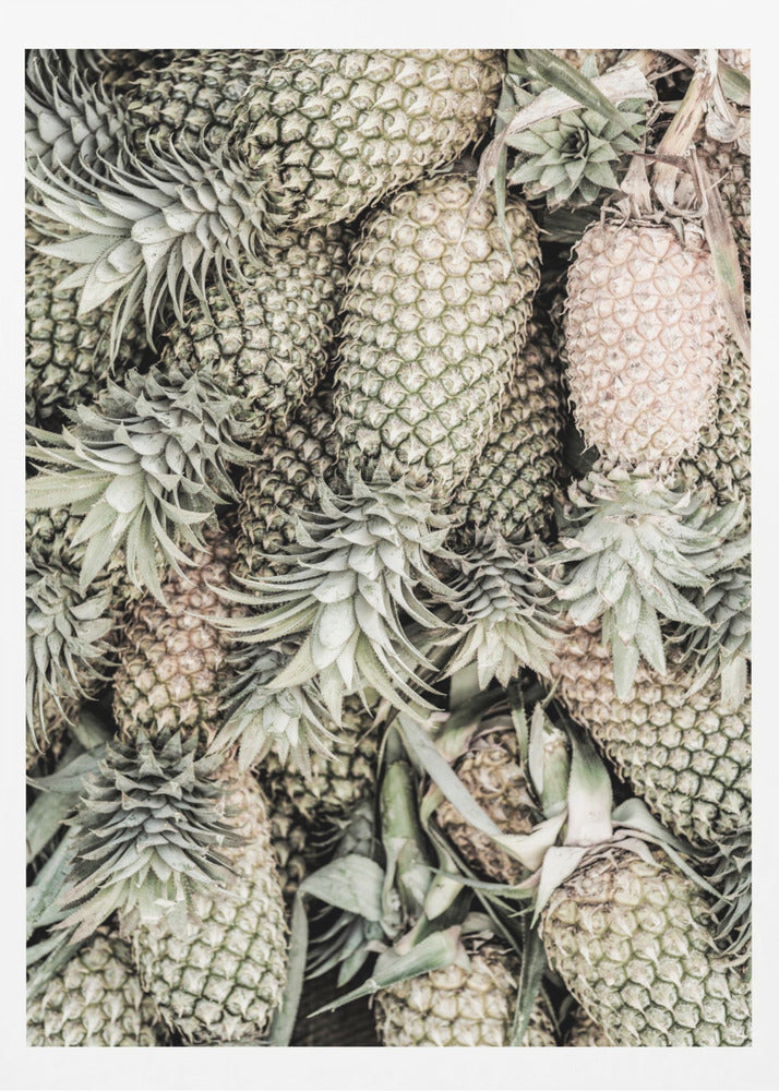 Pino speziato | Poster - Stampe d’Arte