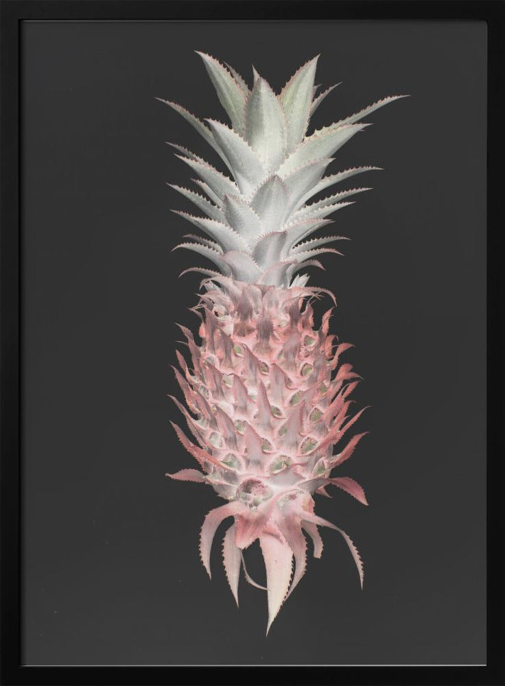 Pino fragola | Poster - Stampe d’Arte