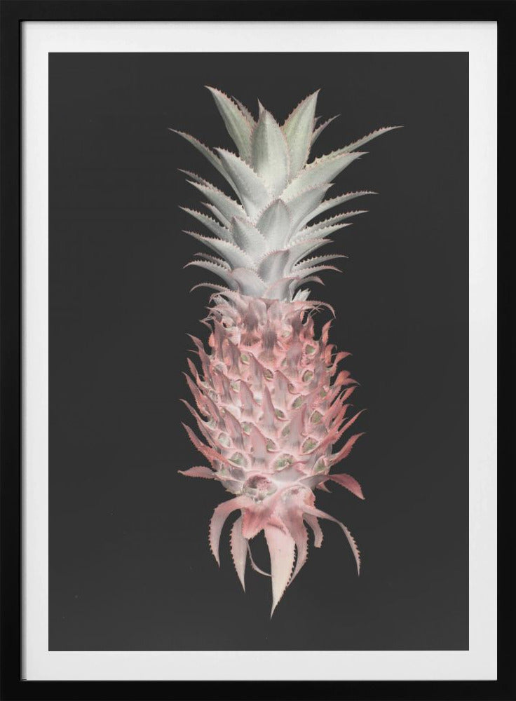 Pino fragola | Poster - Stampe d’Arte