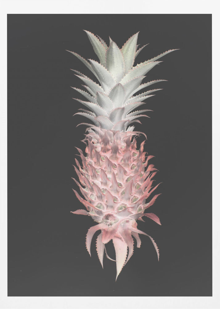 Pino fragola | Poster - Stampe d’Arte