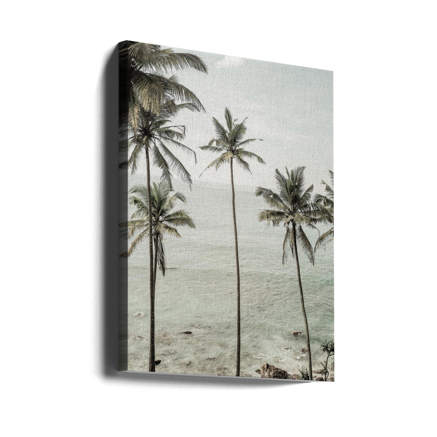 Sogni tropicali | Stampe su Tela