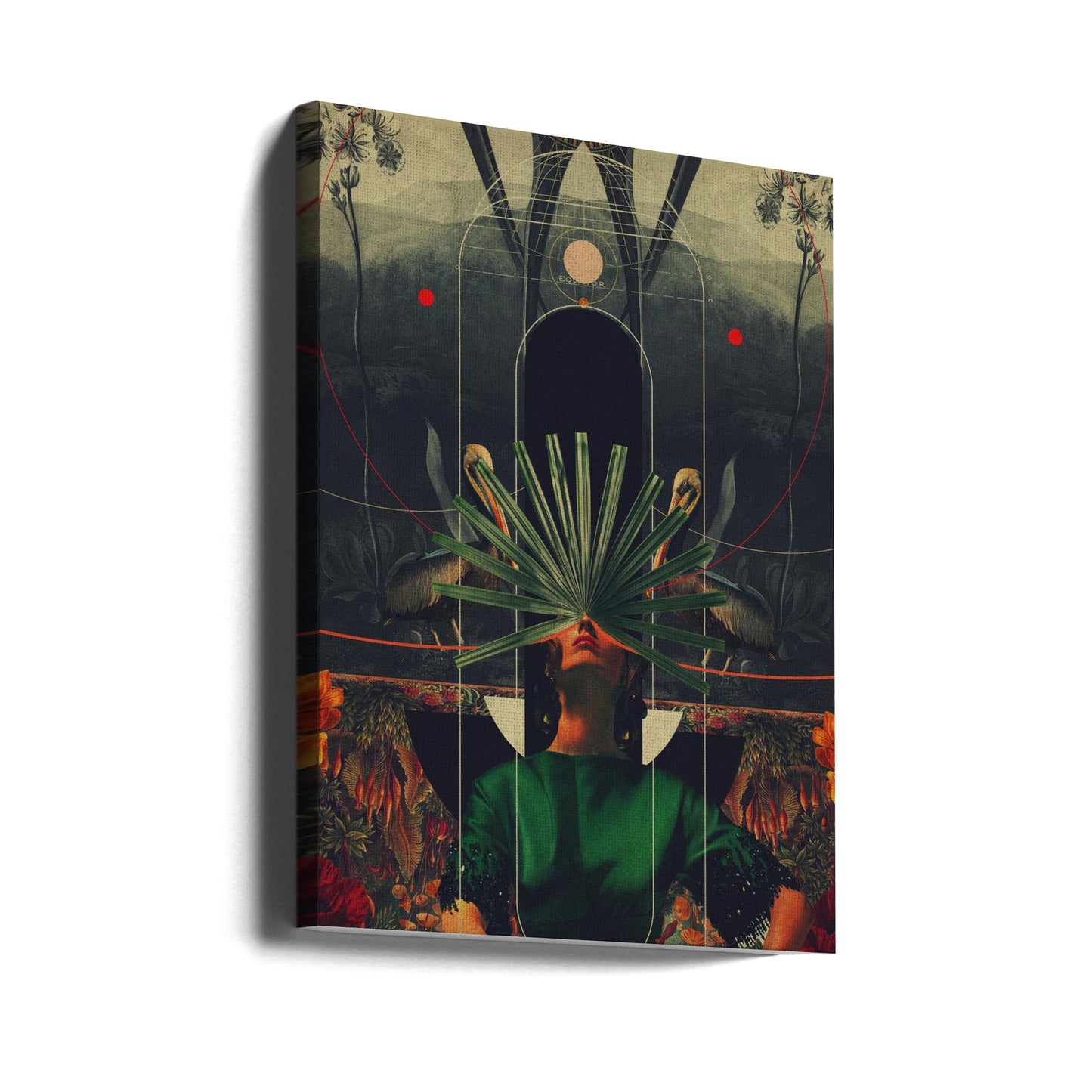 Hon såg ekvatorn | Canvas