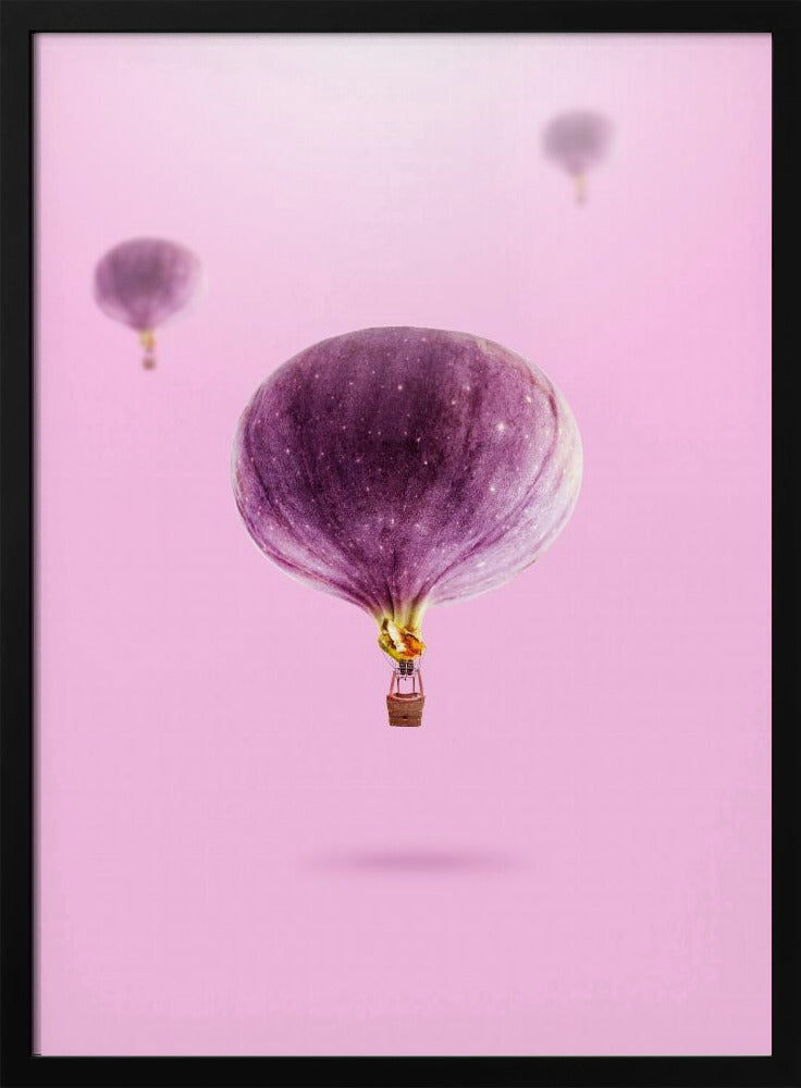 Vijgenballonnen | Posters - Kunstdrukken