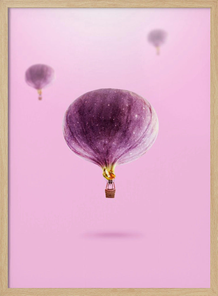 Vijgenballonnen | Posters - Kunstdrukken