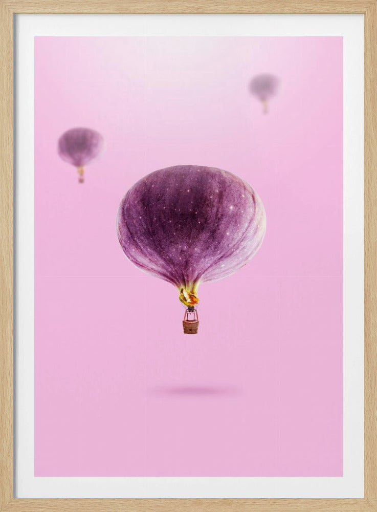 Vijgenballonnen | Posters - Kunstdrukken
