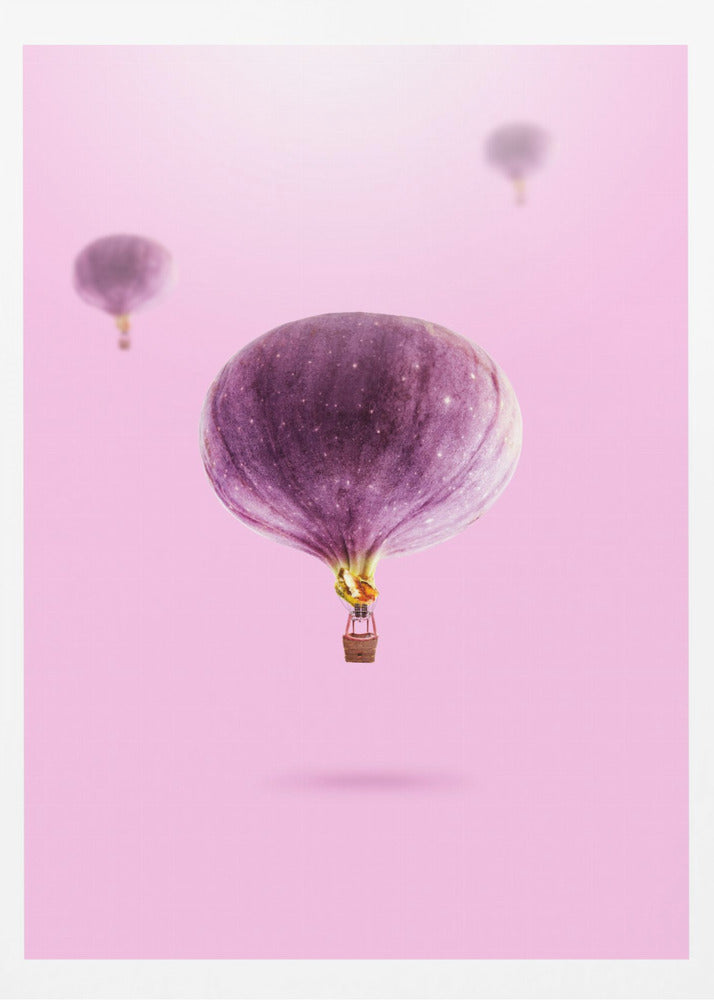 Vijgenballonnen | Posters - Kunstdrukken