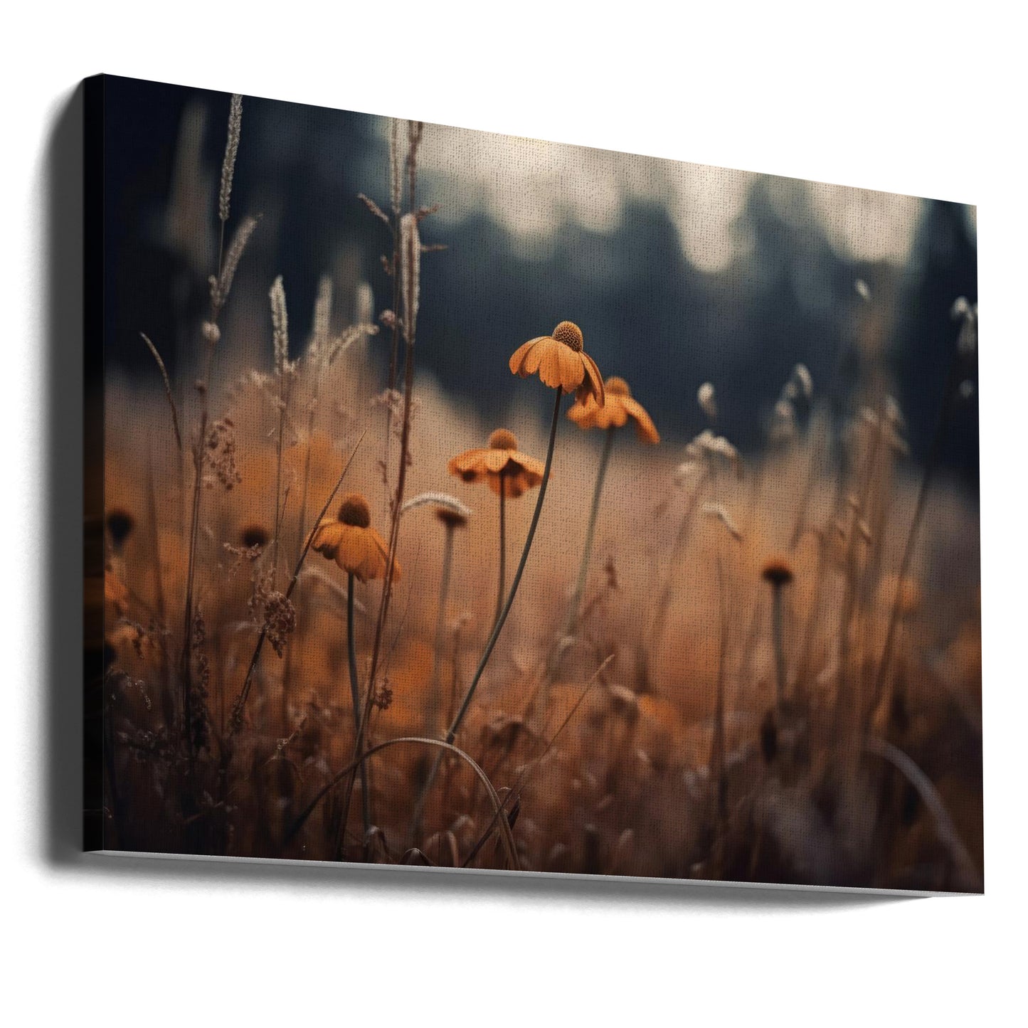 Orange Margarites | Canvas
