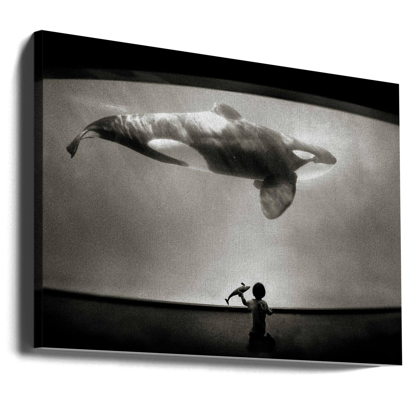 Dentro del dominio de las orcas | Impresiones en Lienzo