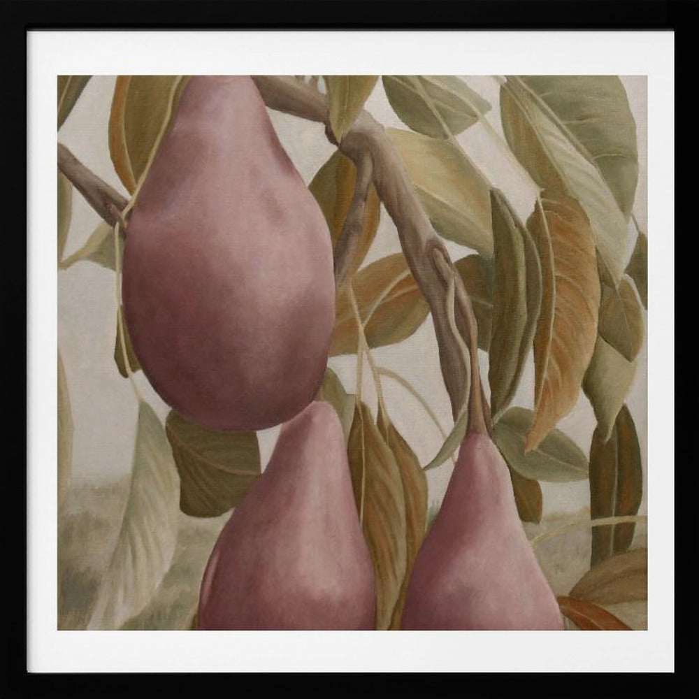 Max Red Bartlett Pears | Poster