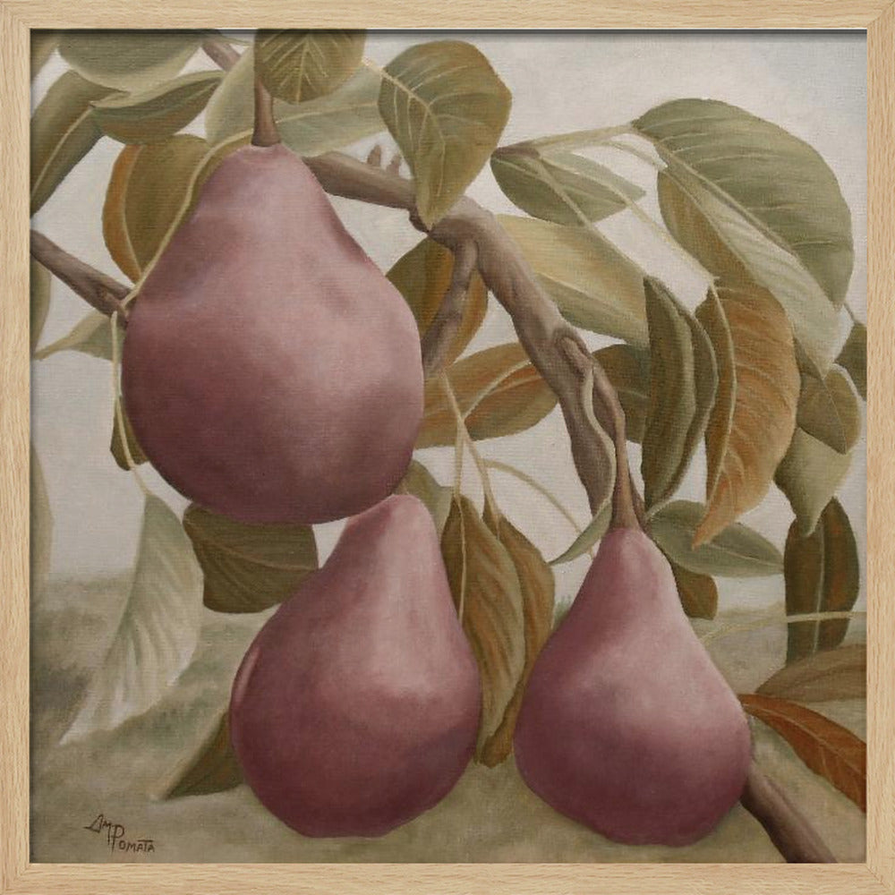 Max Red Bartlett Pears | Poster