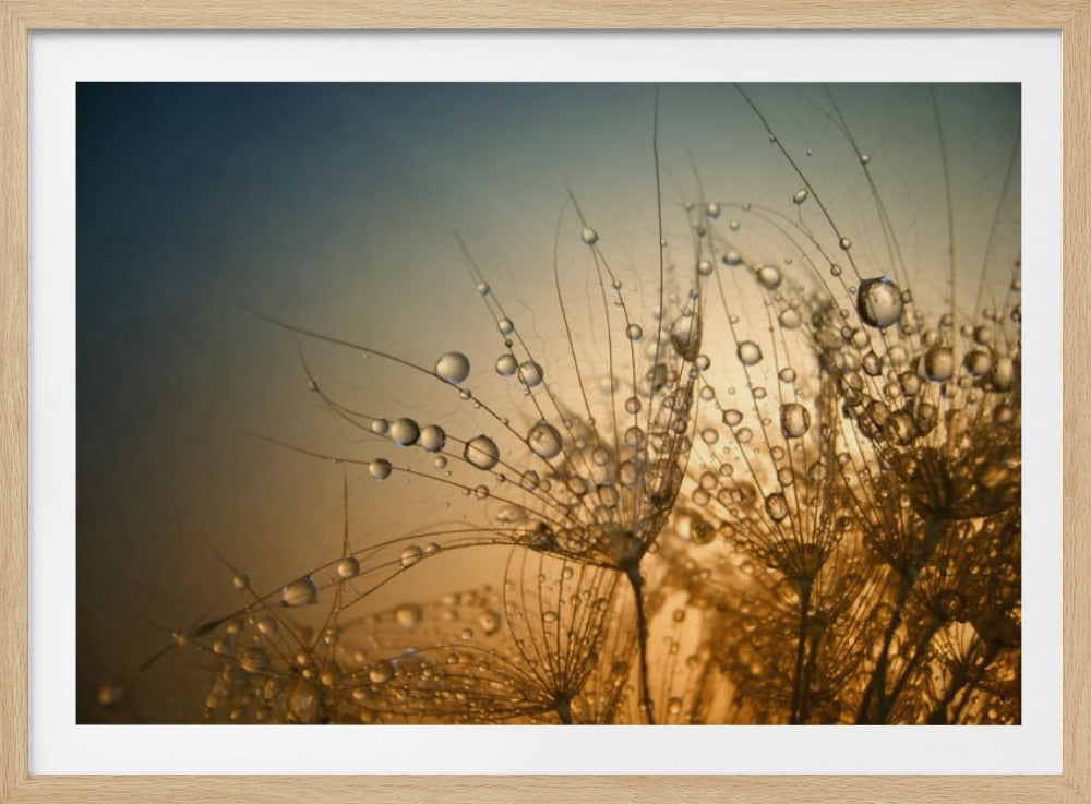 Tendre est la nuit | Affiche