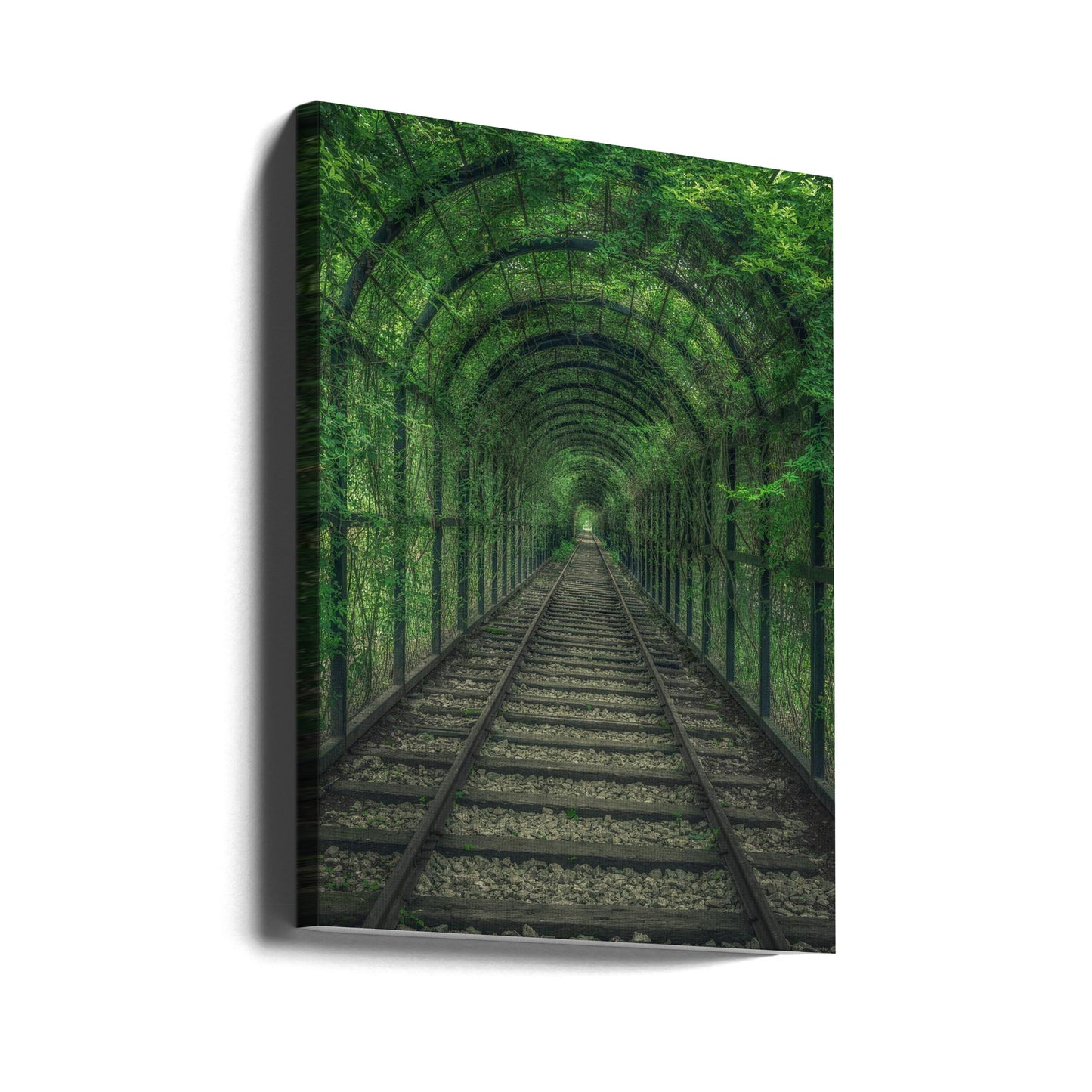 Tunnel vert | Tableaux sur Toile