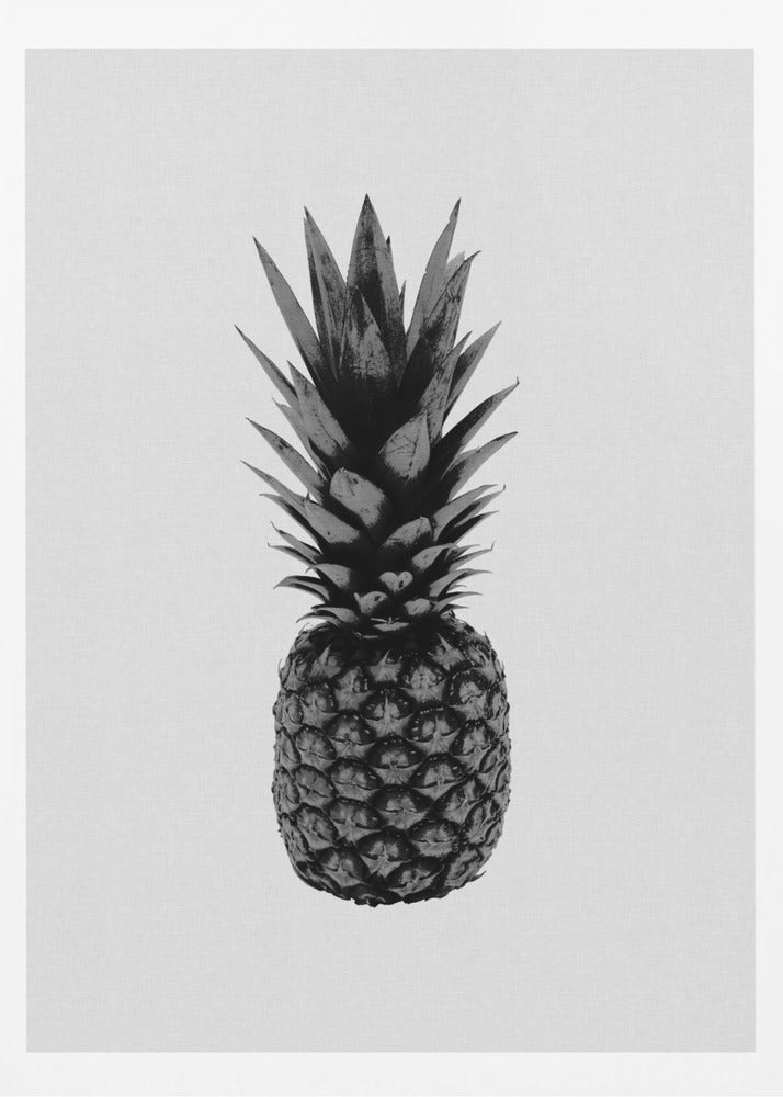 Ananas Noir et Blanc | Affiches