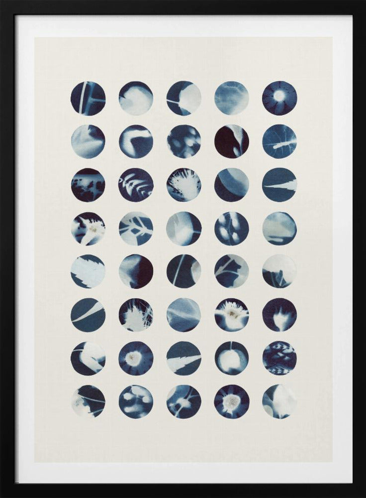 Botanical Cyanotypes | Poster