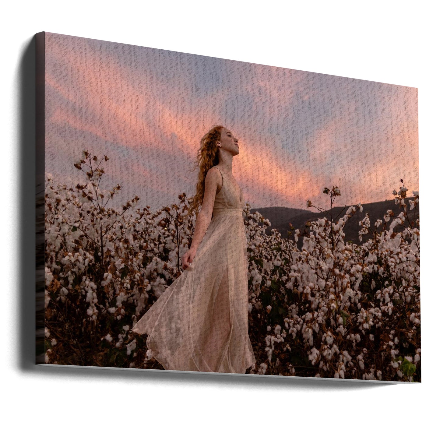 Tramonto nel campo di cotone | Stampe su Tela
