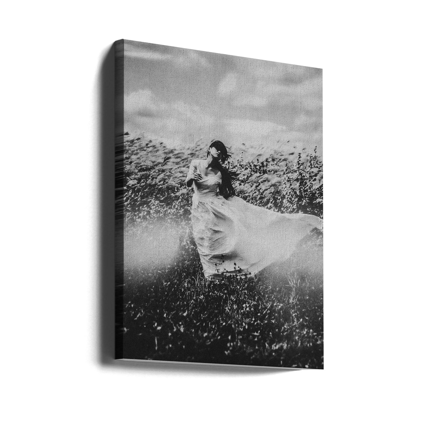 Windnest | Canvasprints