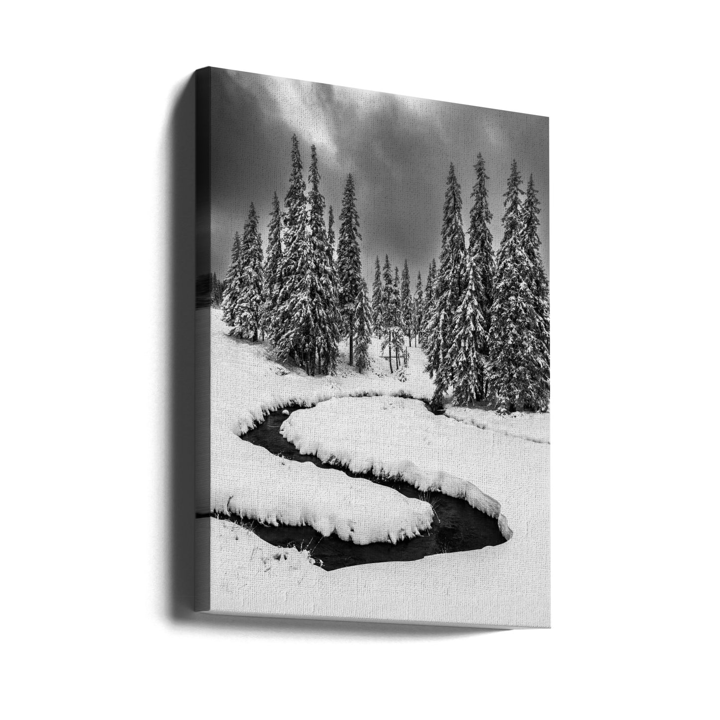 Første sne | Lærredsbilleder