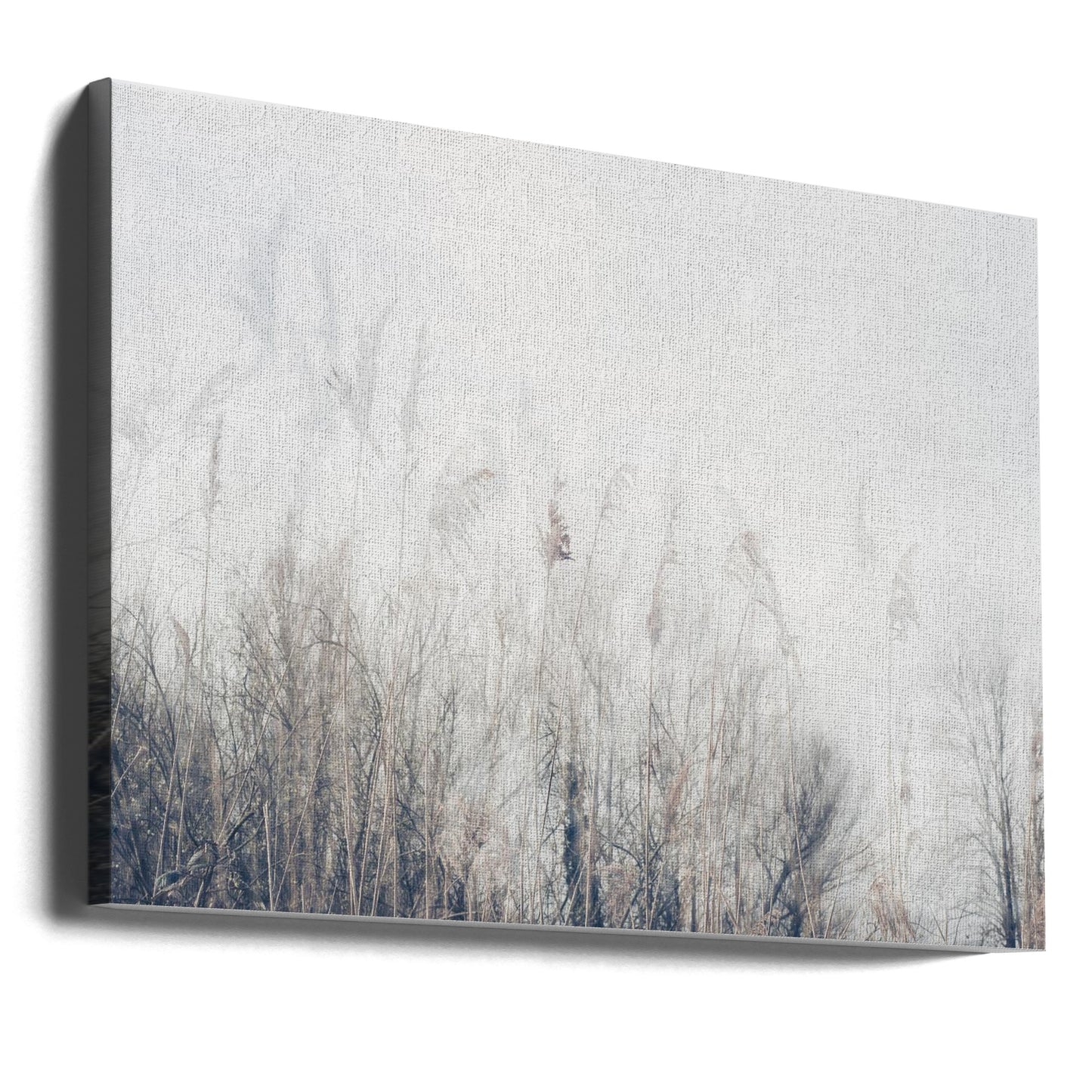 Landskap av vass och gräs | Canvas