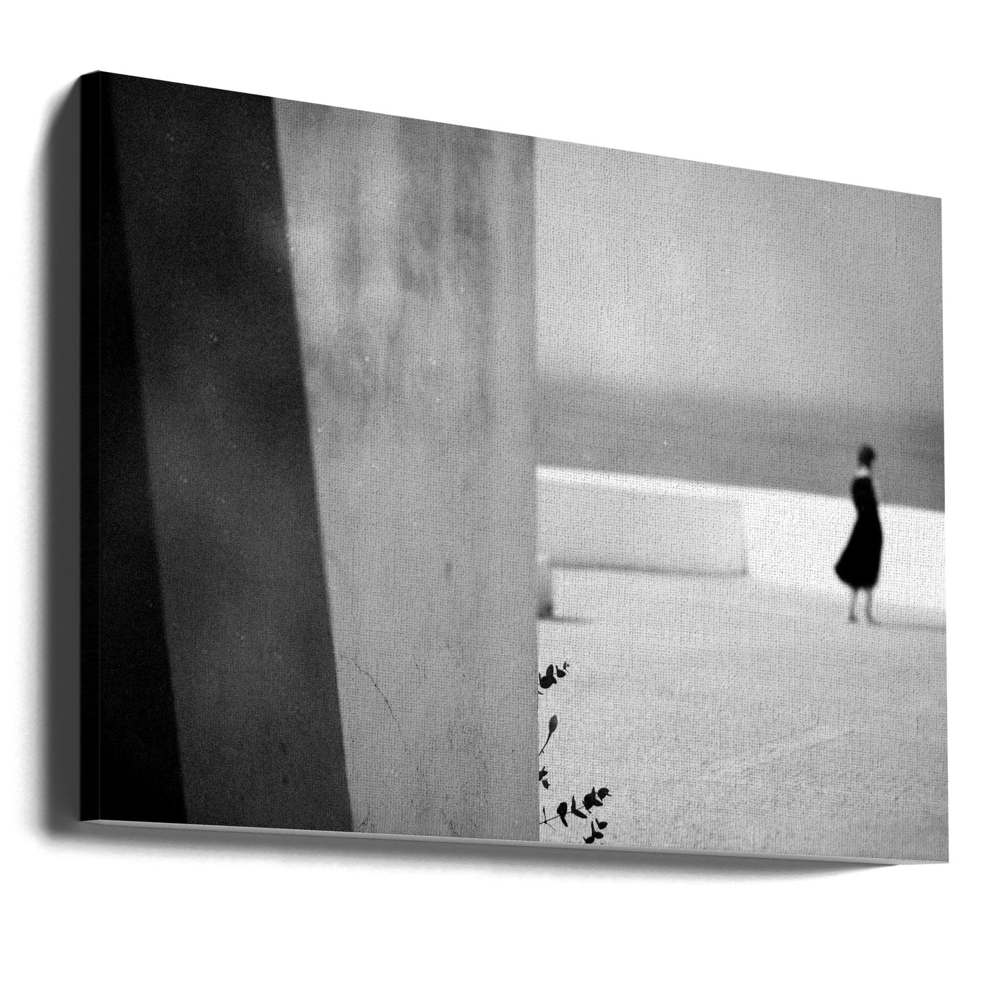 Klein takje | Canvasprints