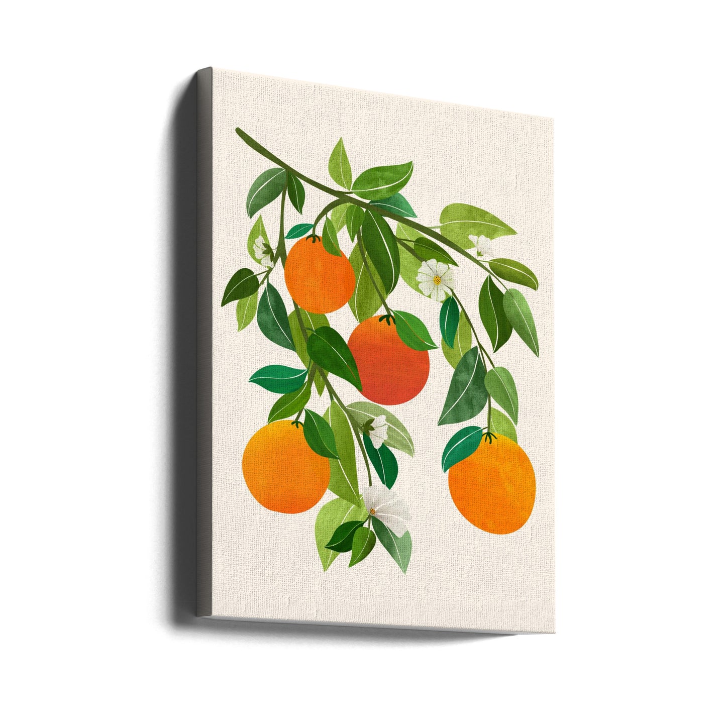 Oranges and Blossoms Ii | Canvas