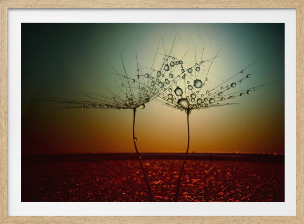 Feu et Eau | Affiche