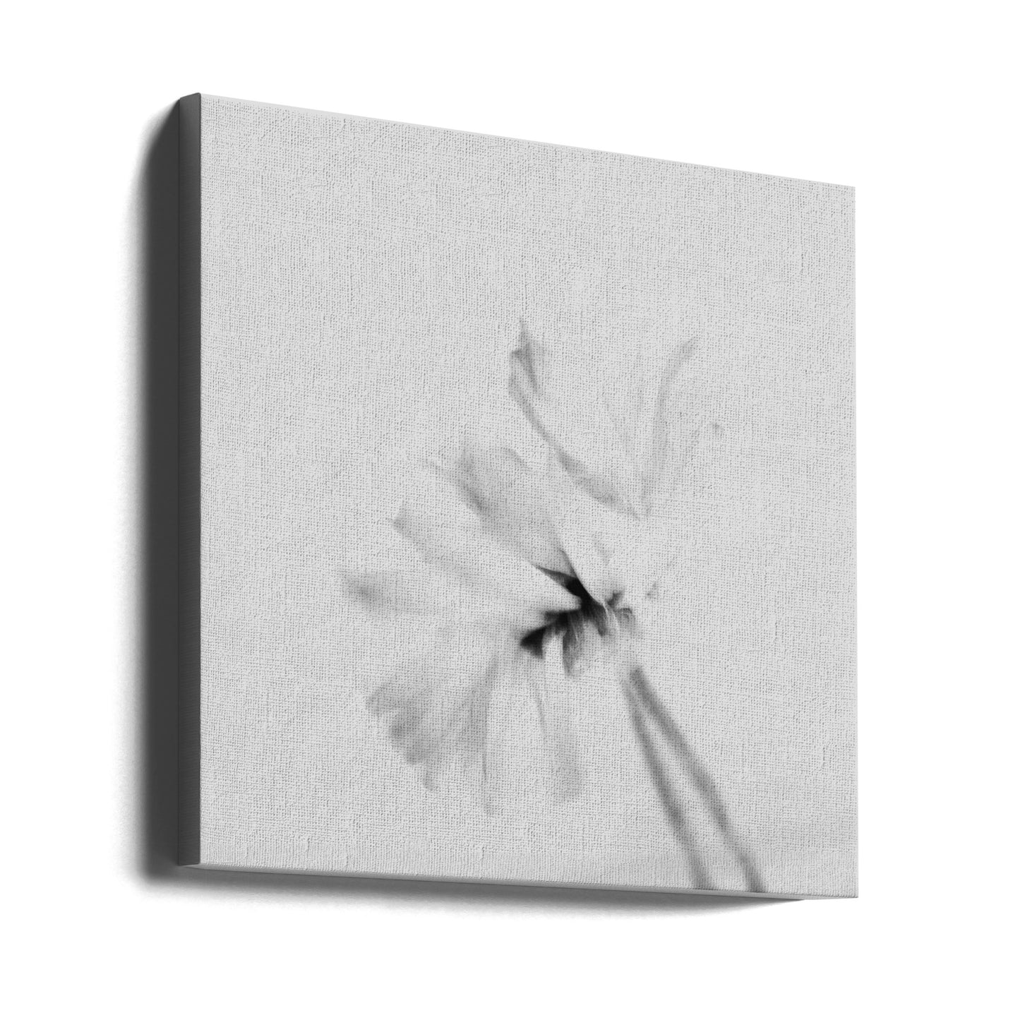 Fiore lunatico 2 | Stampe su Tela