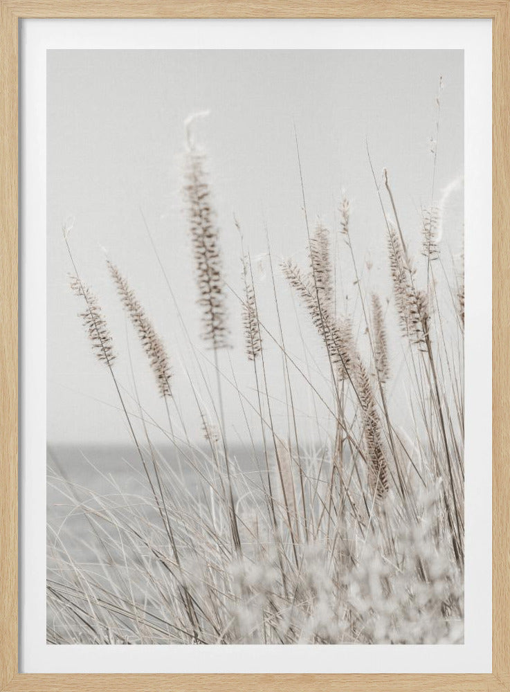 Grass | Poster