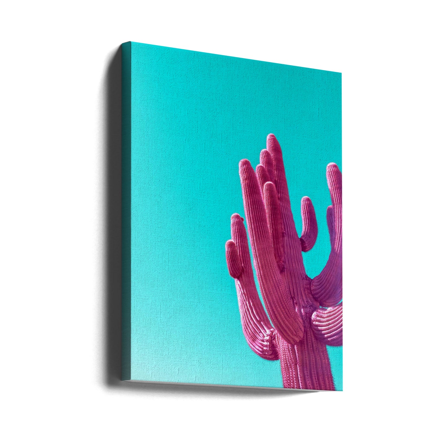 Saguaro rosa magenta | Impresiones en Lienzo