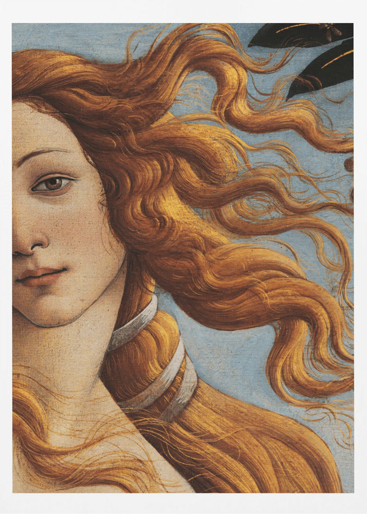 La Naissance de Vénus de Sandro Botticelli | Affiches