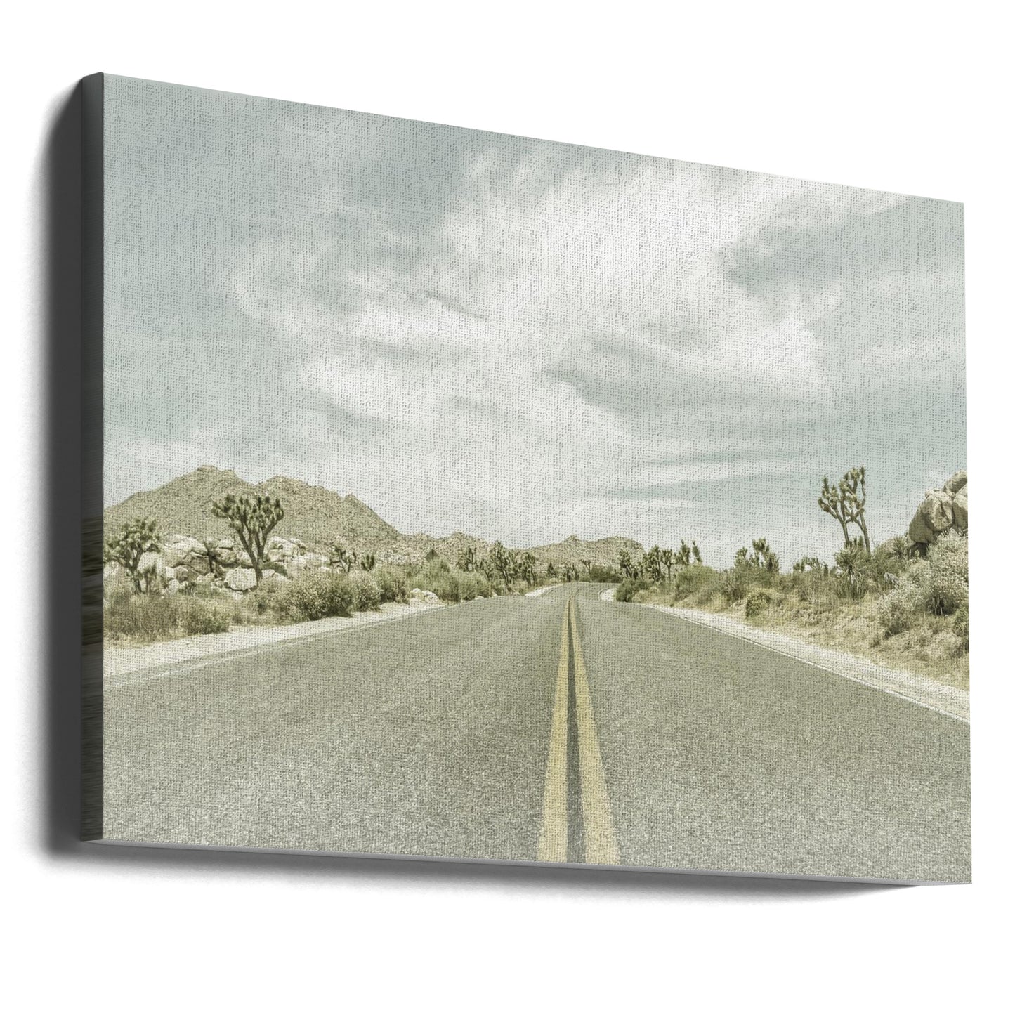 Vintage Joshua Trees, Park Boulevard | Canvastaulut