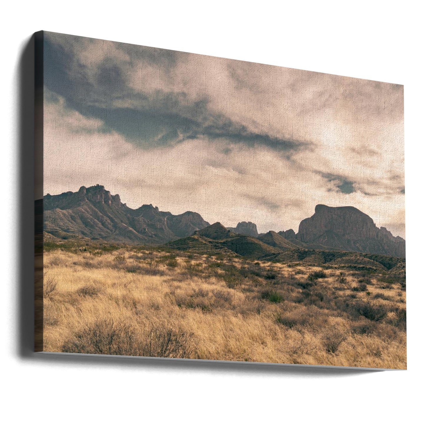 Isolation (1 of 1) | Canvas