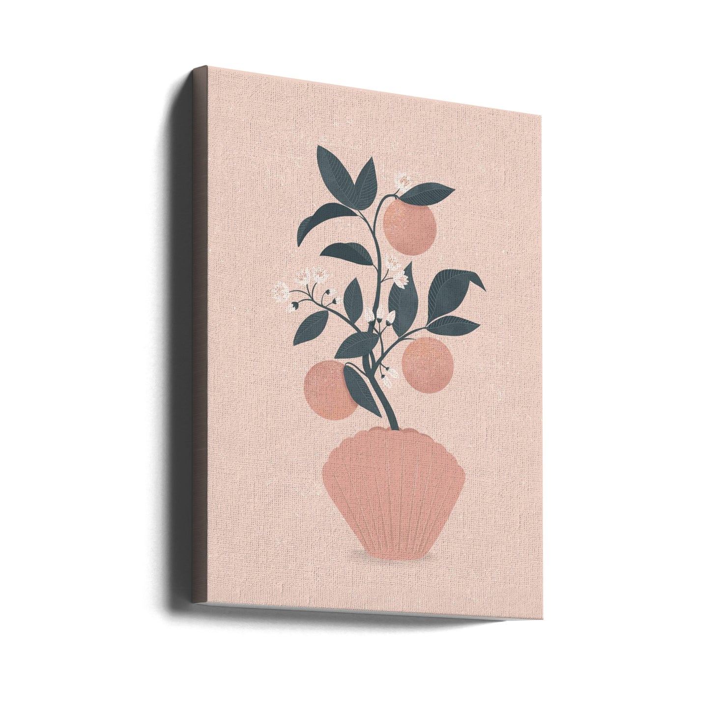 Tangerine Shell | Canvas