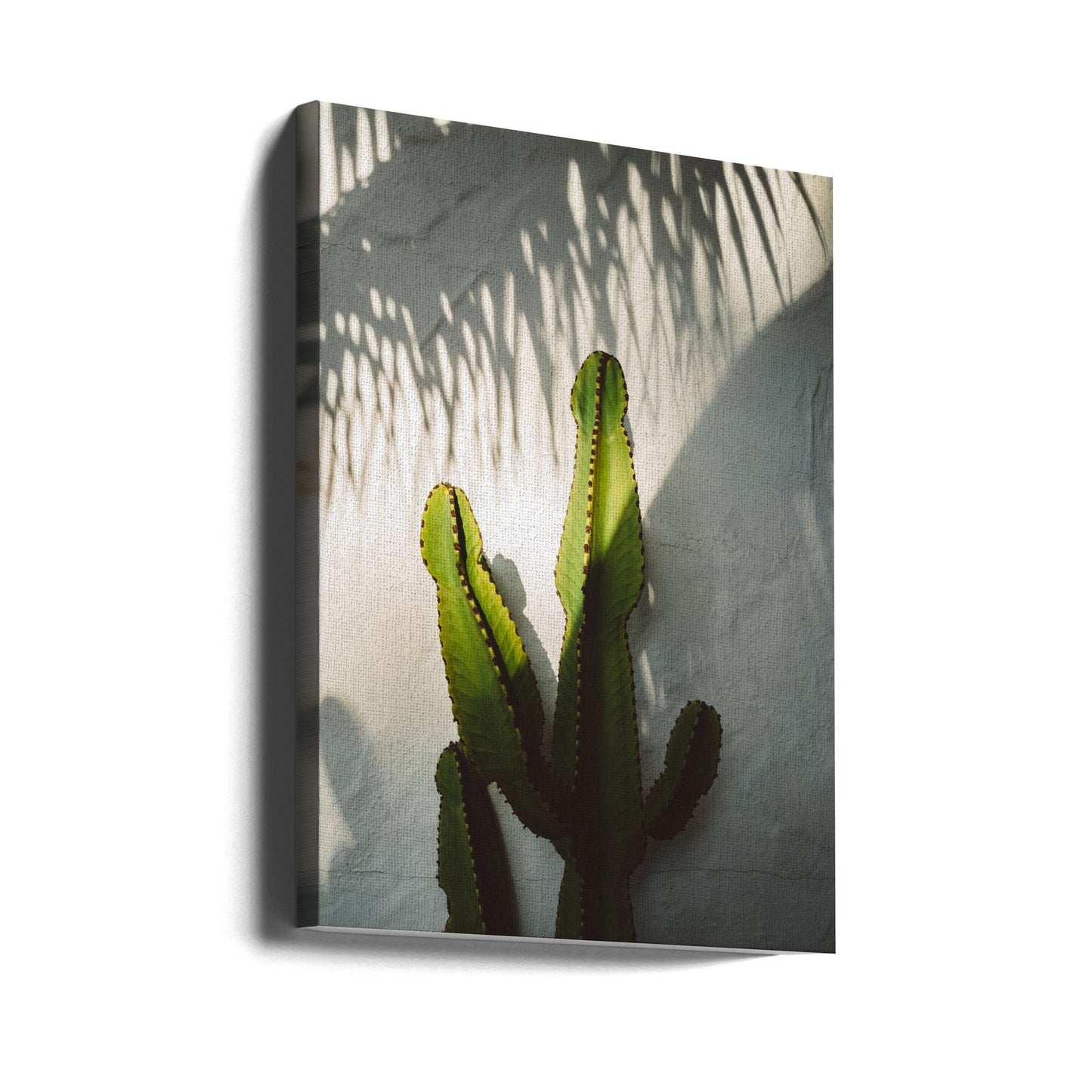 Sociala skuggor | Canvas