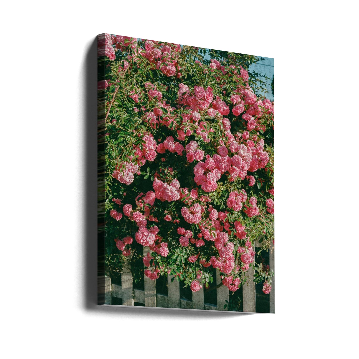 Fleurs de Cannon Beach | Tableaux sur Toile