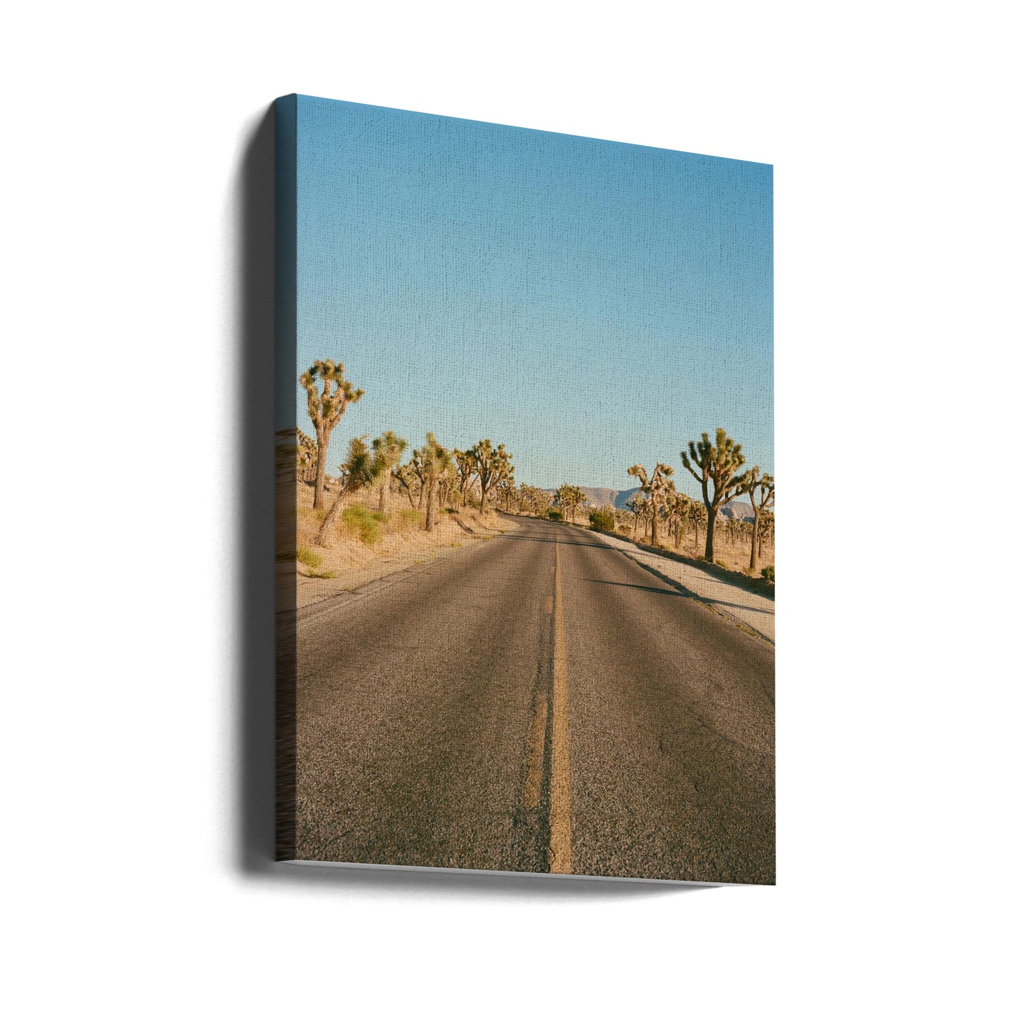 Route de Joshua Tree II | Tableaux sur Toile