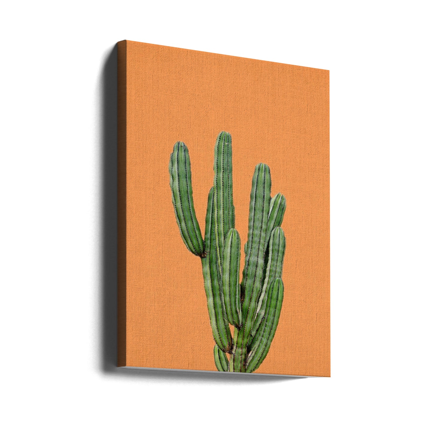 Orange Cactus | Tableaux sur Toile