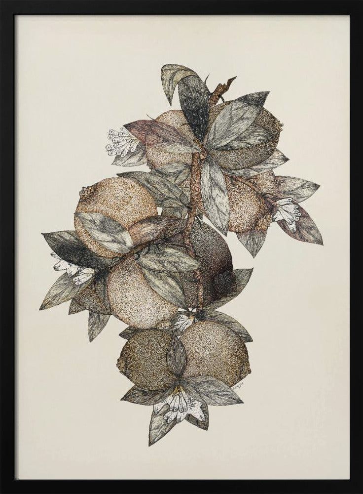 Pomegranate (1867) Rufus King | Poster