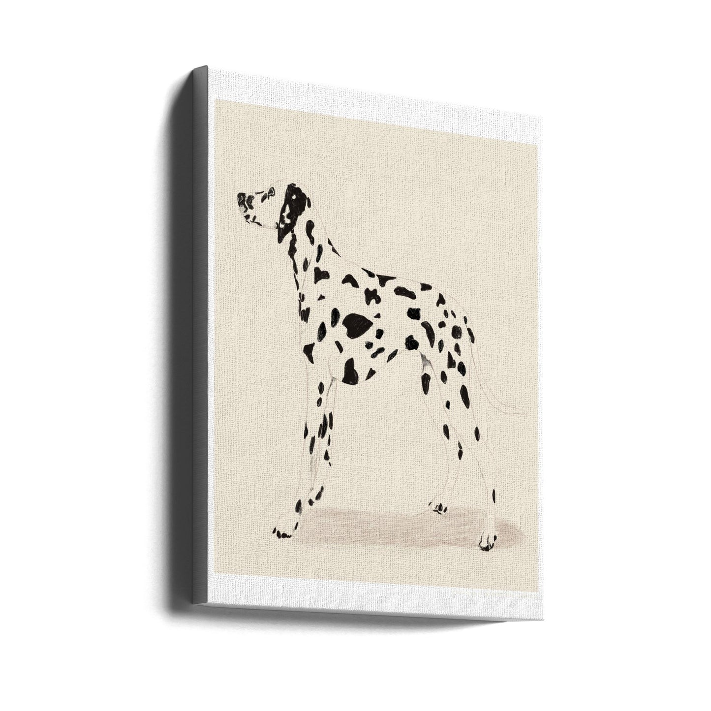 Pandc-dalmatialaisamerikkalainen | Canvastaulut