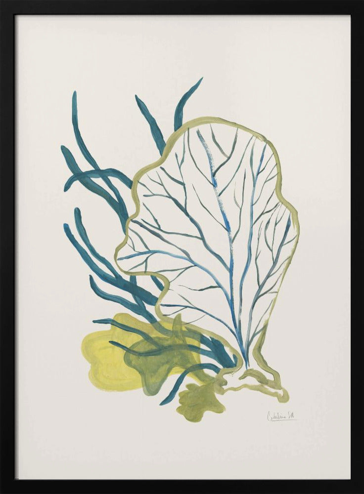Algae No1 | Poster