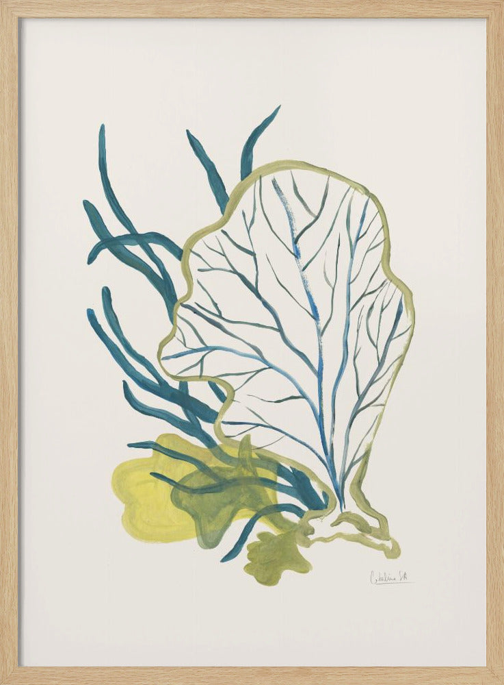 Algae No1 | Poster