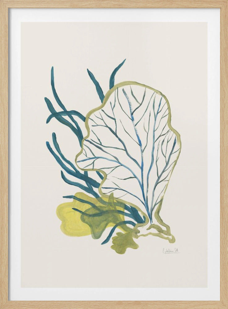 Algae No1 | Poster