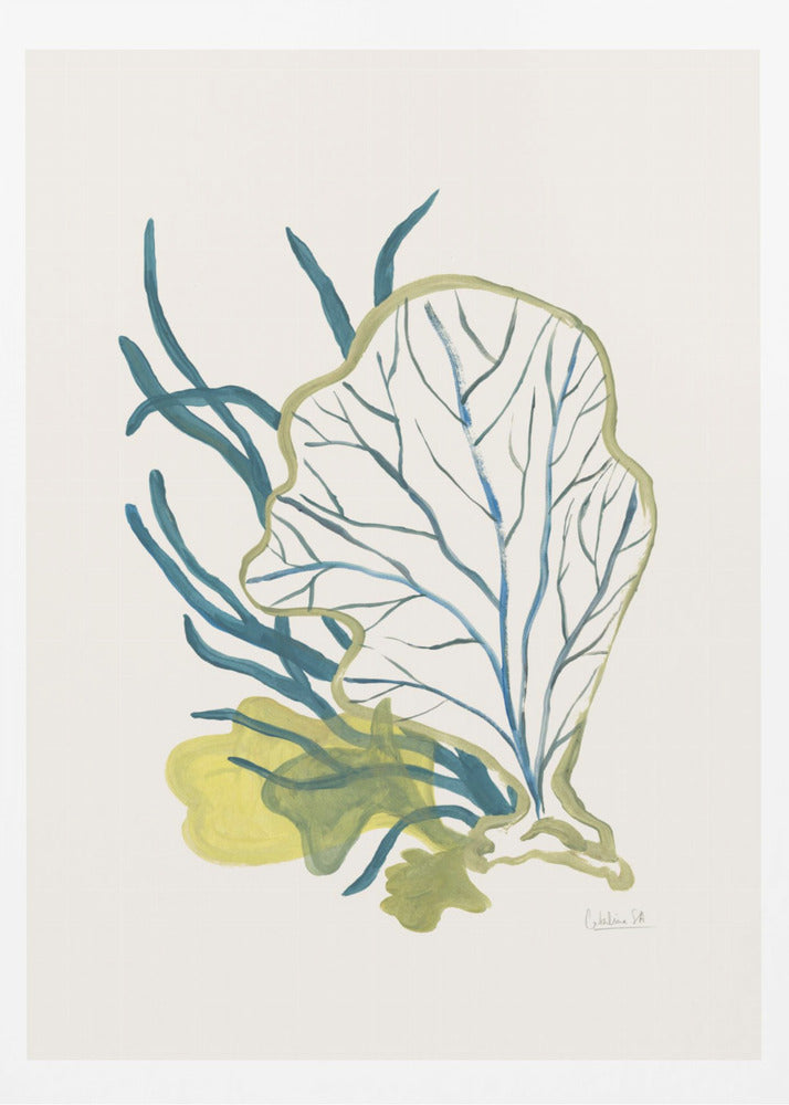 Algae No1 | Poster