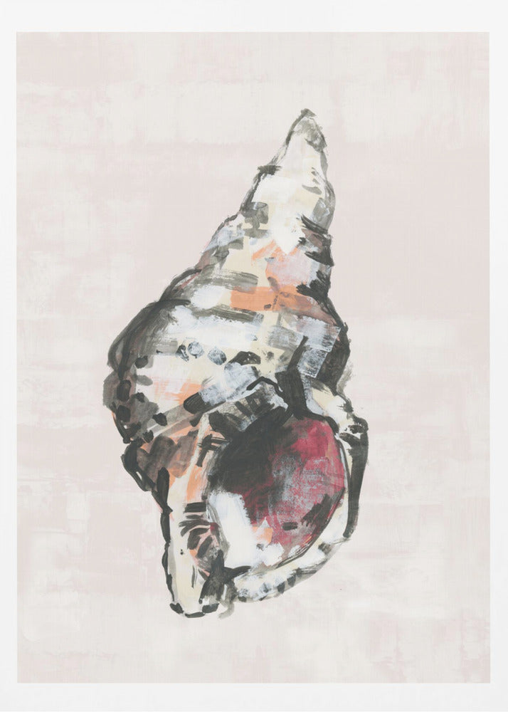 Shell Collector Art Print No 2 | Poster