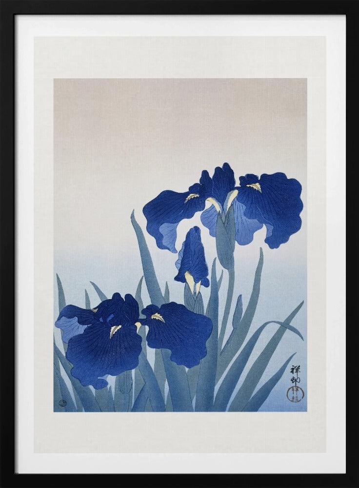 Iris Flowers | Poster