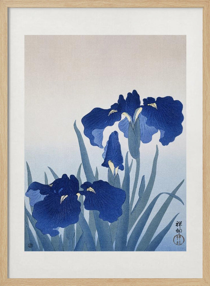 Iris Flowers | Poster
