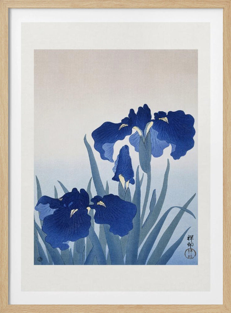 Iris Flowers | Poster