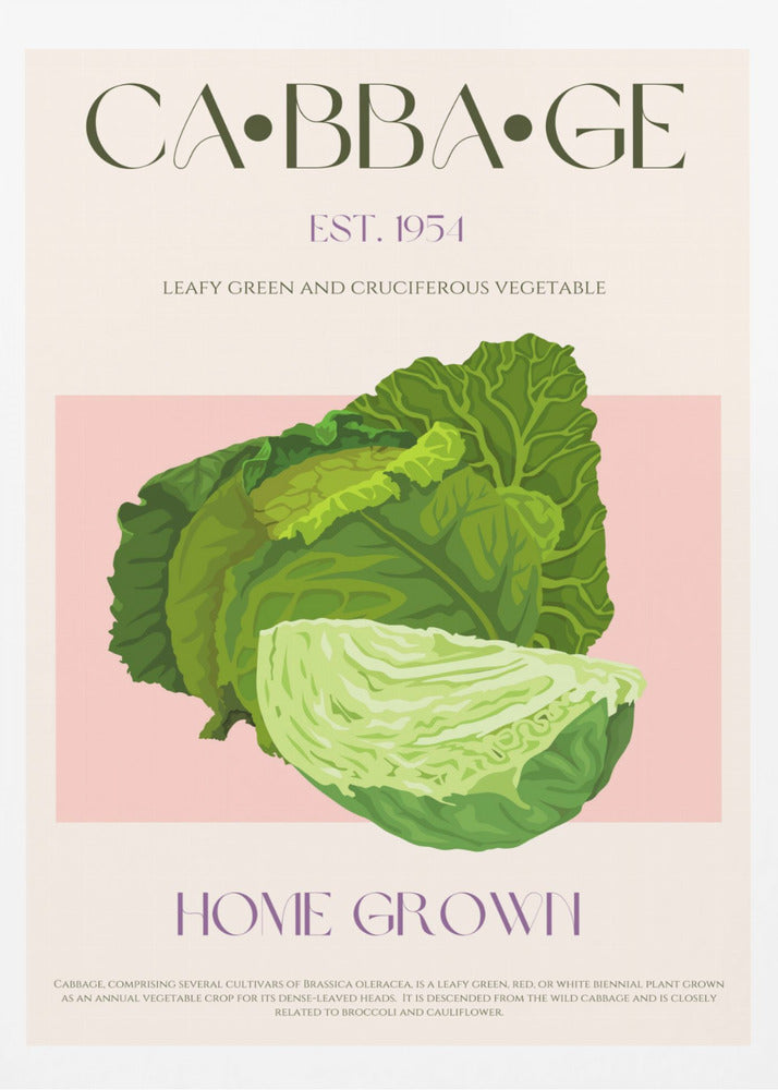 Crisp Cabbage Bliss | Poster