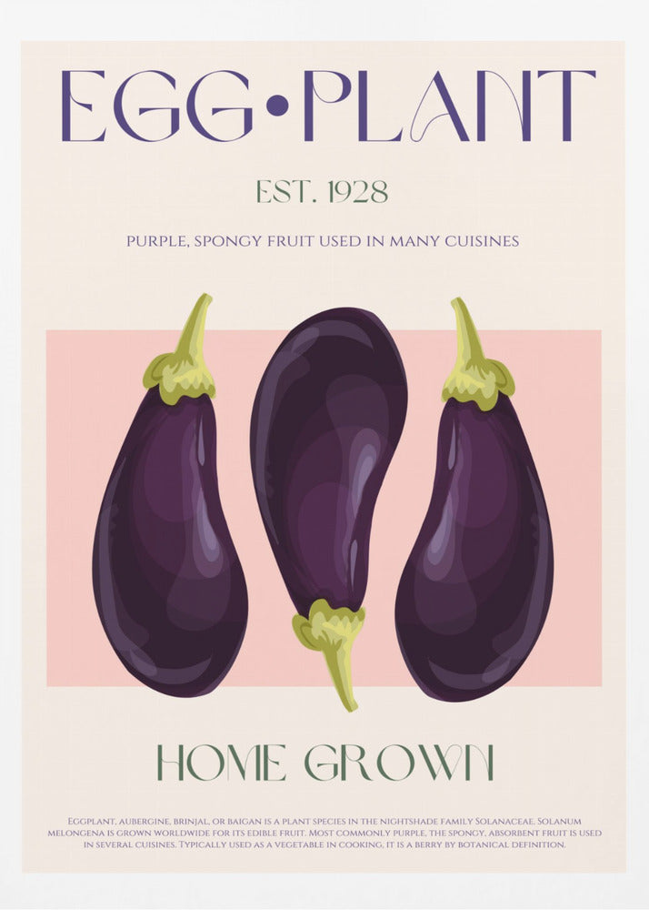 Three Vibrant Purple Eggplants | Poster